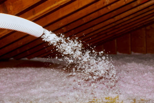 Insulation Repair Services in Bennington, NE