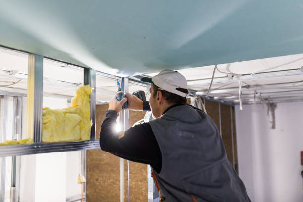 Best Residential Insulation Services  in Bennington, NE