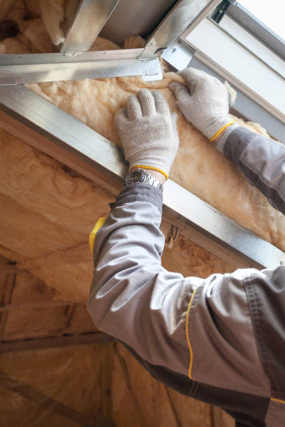 Best Best Insulation Companies  in Bennington, NE