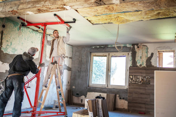 Best Attic Insulation Installation  in Bennington, NE